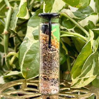 Auto Schutz | Spell Jar