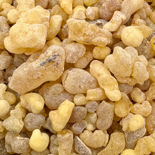 Lagrima Grande Weihrauch Yemen | Räucherharz