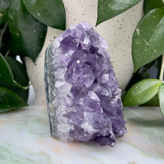 Amethyst Cluster | Rohstein