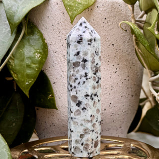 Kiwi Jaspis | Türme