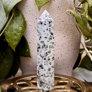 Kiwi Jaspis | Türme