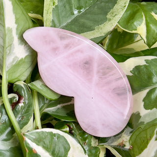 Rosenquarz Kürbis Gua Sha | Massagegerät