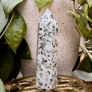 Kiwi Jaspis | Türme