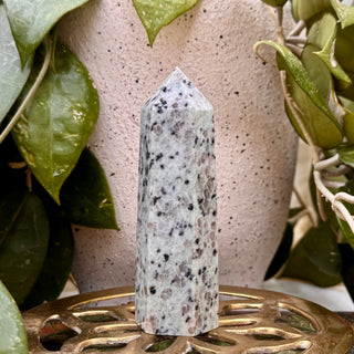 Kiwi Jaspis | Türme