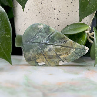Moosachat_Blatt_A
