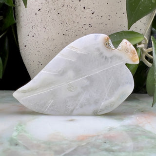 Moosachat_Blatt_C