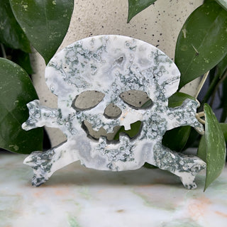Moosachat_Totenkopf_B